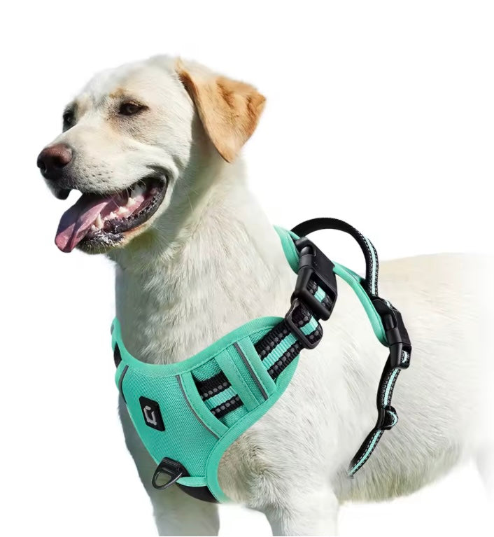 No-Pull Dog Harness with Control Handle